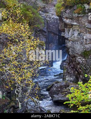 Hund fällt, Glen Affric, Inverness, Highland, Schottland Stockfoto