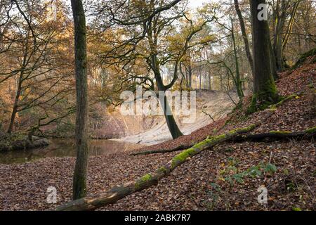 Landschaft stream Valley" leudal' mit Eichen im Herbst und streamlet Leubeek im schönen Limburg, Niederlande Stockfoto