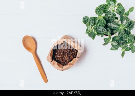 Hausgemachtes Müsli mit Schokolade in craft Tasche neben Holzlöffel und grüne Zimmerpflanze auf weißem Tabelle, Ansicht von oben. Stockfoto