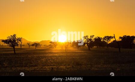 Schönen Sonnenaufgang in Namibia Namib Naukluft Park mit Bäumen, Bergen und beleuchtete Gras Stockfoto