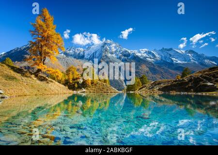 Der See Lac Bleu mit dem Berg Dent de Perroc (3676 m). Wallis, Schweiz Stockfoto