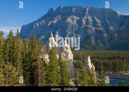 Hoodo Felsformation im Banff National Park, Alberta, Kanada. Hoodoo Felsformationen sind hoch dünn geformten Felsen, durch härtere Felsen, die weniger leicht erodiert sind, schützt jede Spalte aus der Elemente aufgefüllt werden Stockfoto