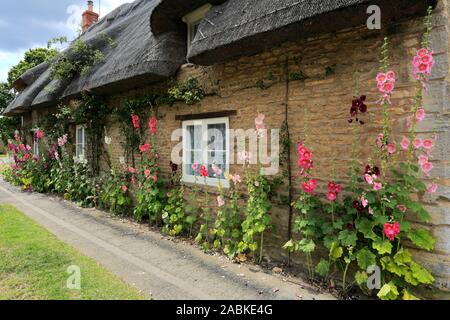 Stockrosen Cottage, helpston Dorf, Cambridgeshire, England, Großbritannien