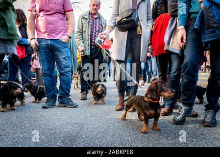 Teilnehmer an der Dackel Parade der München Valentin-Karlstadt-Musäums. [Automatisierte Übersetzung] Stockfoto