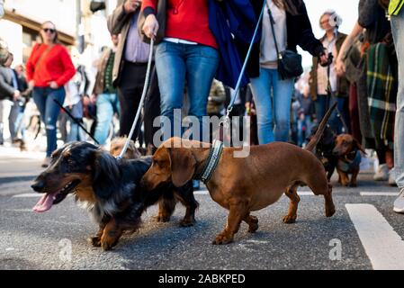 Teilnehmer an der Dackel Parade der München Valentin-Karlstadt-Musäums. [Automatisierte Übersetzung] Stockfoto