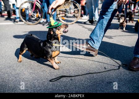 Teilnehmer an der Dackel Parade der München Valentin-Karlstadt-Musäums. [Automatisierte Übersetzung] Stockfoto