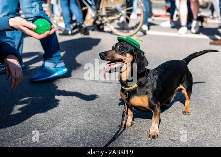 Teilnehmer an der Dackel Parade der München Valentin-Karlstadt-Musäums. [Automatisierte Übersetzung] Stockfoto