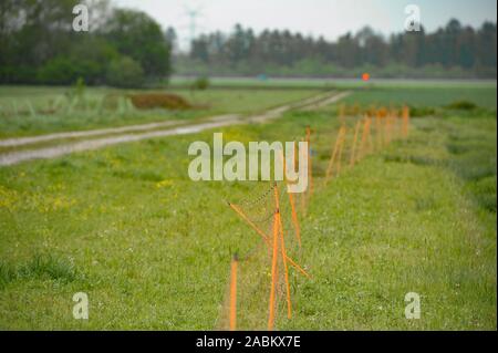 Impressionen aus dem aubinger Moos, ein großes Naturschutzgebiet im Westen von München. [Automatisierte Übersetzung] Stockfoto