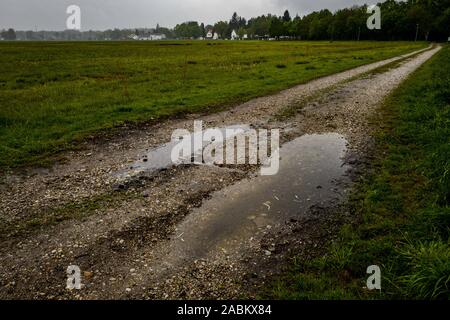 Impressionen aus dem aubinger Moos, ein großes Naturschutzgebiet im Westen von München. [Automatisierte Übersetzung] Stockfoto