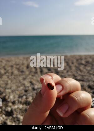 Marienkäfer landet auf der Finger einer Hand am Meer, an einem Sommertag, lucky Charme. Marienkäfer auf der Hand gegen das Meer. Selektive konzentrieren. Stockfoto