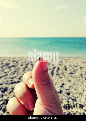 Marienkäfer landet auf der Finger einer Hand am Meer, an einem Sommertag, lucky Charme. Marienkäfer auf der Hand gegen das Meer. Selektive konzentrieren. Stockfoto