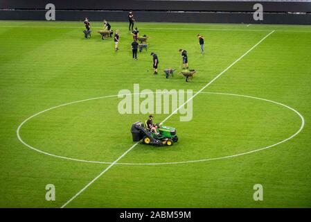 Eindruck von der Allianz Arena in München nach dem Ende des ersten Tages des Audi Cup 2019. Nach dem am Abend die Vorbereitungen für das nächste Spiel bereits beginnen. Das Bild zeigt die greenkeepers bei der Arbeit. [Automatisierte Übersetzung] Stockfoto