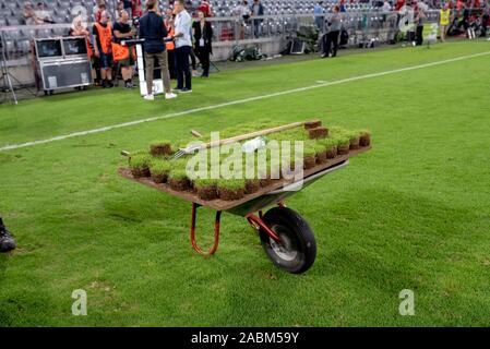 Eindruck von der Allianz Arena in München nach dem Ende des ersten Tages des Audi Cup 2019. Nach dem am Abend die Vorbereitungen für das nächste Spiel bereits beginnen. Das Bild zeigt die greenkeepers bei der Arbeit. [Automatisierte Übersetzung] Stockfoto