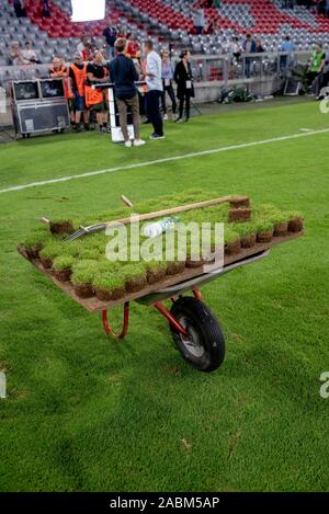 Eindruck von der Allianz Arena in München nach dem Ende des ersten Tages des Audi Cup 2019. Nach dem am Abend die Vorbereitungen für das nächste Spiel bereits beginnen. Das Bild zeigt die greenkeepers bei der Arbeit. [Automatisierte Übersetzung] Stockfoto