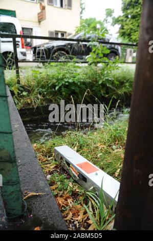 Ein schädling Controller der Firma 'Top-Tox' legt die rattenfallen an der Perlacher Bach im Bezirk Ramersdorf-Perlach. [Automatisierte Übersetzung] Stockfoto