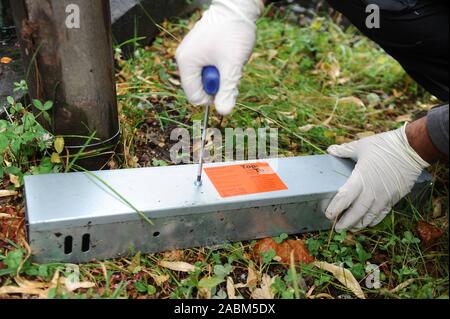 Ein schädling Controller der Firma 'Top-Tox' legt die rattenfallen an der Perlacher Bach im Bezirk Ramersdorf-Perlach. [Automatisierte Übersetzung] Stockfoto