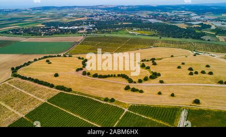 Landwirtschaftliche Felder der Kibbuzim in der menashe Tal Stockfoto