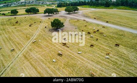 Landwirtschaftliche Felder der Kibbuzim in der menashe Tal Stockfoto