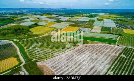 Landwirtschaftliche Felder der Kibbuzim in der menashe Tal Stockfoto