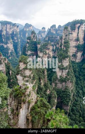 Säule Felsformationen in Zhangjiajie National Forest Park (China). Vertikale Ausrichtung Stockfoto