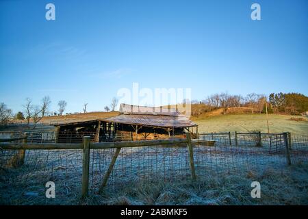 Einem alten heruntergekommenen Scheune sitzt unter einem blauen Himmel an einem kalten Wintermorgen in Marion, Virginia. Gras ist in Frost und Rinder weiden bedeckt im Hintergrund. Stockfoto