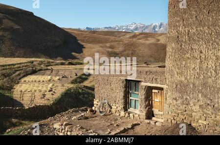 Komic, Himachal Pradesh, Indien. Ländliche Dorf Szene mit traditionellen Schlamm verputzte Haus und Menschen weizenfeld unter den Himalaya in isolieren Stockfoto