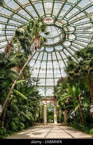 Belgien, Brüssel: Innenraum des Königlichen Gewächshäuser von Laeken. Die Vegetation und die Gärten im Metall und Glas Gebäude, entworfen vom Architekten Alphonse Stockfoto