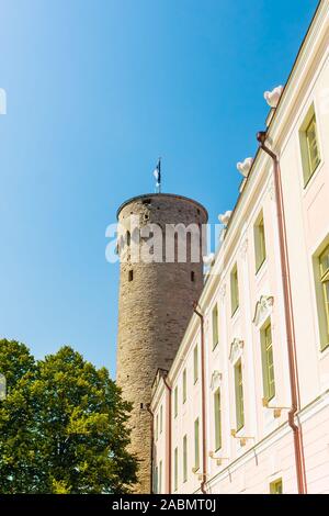 Pikk Hermann, Riigikogu der Nationalversammlung, dem Domberg, Tallinn, Estland. Stockfoto