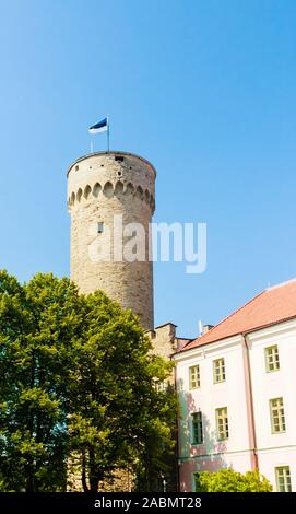 Pikk Hermann, Riigikogu der Nationalversammlung, dem Domberg, Tallinn, Estland. Stockfoto