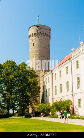 Pikk Hermann, Riigikogu der Nationalversammlung, dem Domberg, Tallinn, Estland. Stockfoto