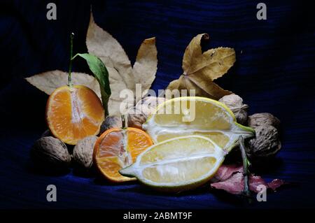 Zitrone und Mandarine mit offenem Gesicht auf Ahorn Blätter gegen einen schwarzen und blauen Hintergrund Stockfoto