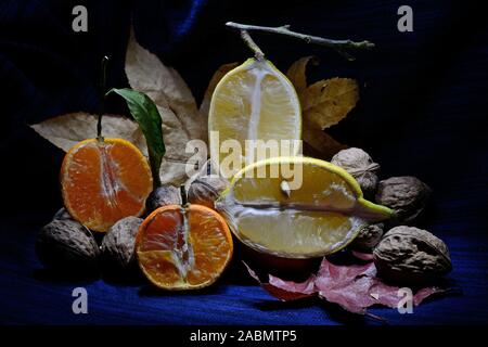 Zitrone und Mandarine mit offenem Gesicht auf Ahorn Blätter gegen einen schwarzen und blauen Hintergrund Stockfoto