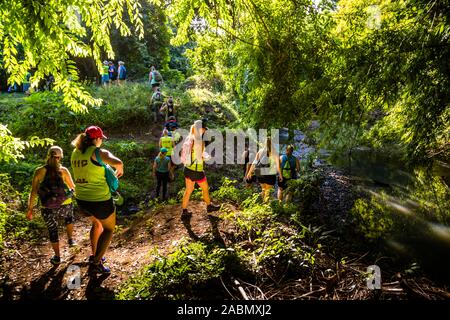 Hash House Harriers Laufveranstaltung in Happy Hill, Grenada. Über Hügel und Dale, durch Bäche und schlammige Hänge. Kurz nach dem Start haben sich die Läufer von den Wanderern getrennt Stockfoto