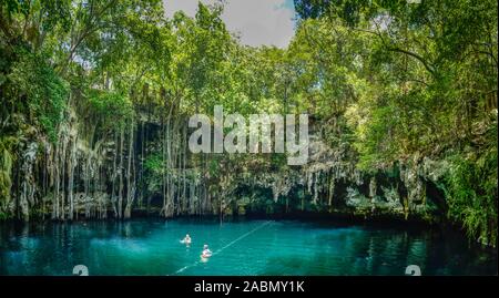 Cenote Tinum, Yucatan, Mexiko Stockfoto