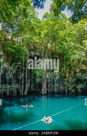 Cenote Tinum, Yucatan, Mexiko Stockfoto