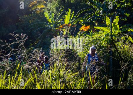 Hash House Harriers Laufveranstaltung in Happy Hill, Grenada. Stockfoto