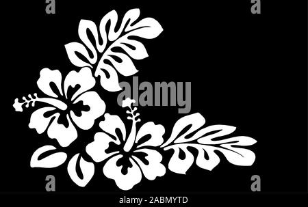 Vector Flower Designs und Hintergrund und Grenzen Stockfoto