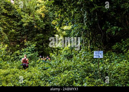 Hash House Harriers Laufveranstaltung in Happy Hill, Grenada. Stockfoto