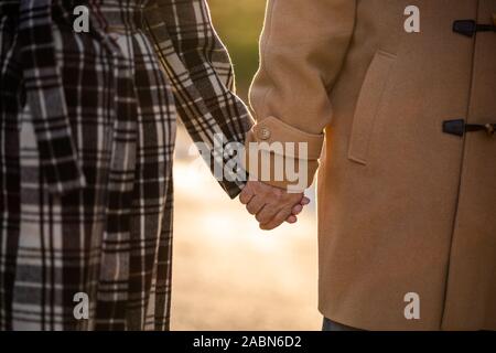Senior Paar halten sich an den Händen und gehen im Park im Herbst. Stockfoto