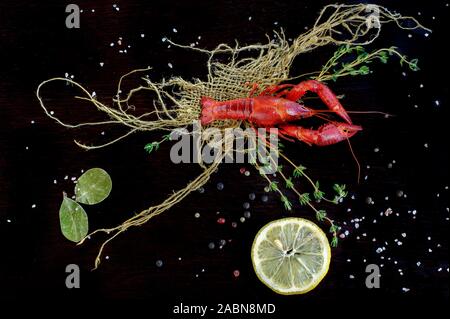 Frisch Hummer Nahaufnahme mit Zitrone, Knoblauch, Brot, Kräutern auf einem Schwarzen Tisch. Horizontal oben Ansicht von oben. Schöne plating und Dekorationen Stockfoto