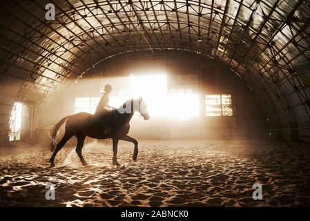 Majestätische Bild von Pferd Pferd mit Reiter auf Silhouette Sonnenuntergang Hintergrund. Das Mädchen Jockey auf dem Rücken der Hengst reitet in einem Hangar auf einem Bauernhof und Stockfoto