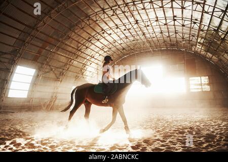 Majestätische Bild von Pferd Pferd mit Reiter auf Silhouette Sonnenuntergang Hintergrund. Das Mädchen Jockey auf dem Rücken der Hengst reitet in einem Hangar auf einem Bauernhof und Stockfoto