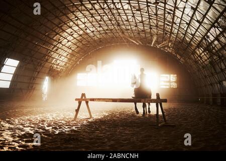 Majestätische Bild von Pferd Pferd mit Reiter auf Silhouette Sonnenuntergang Hintergrund. Das Mädchen Jockey auf dem Rücken der Hengst reitet in einem Hangar auf einem Bauernhof und Stockfoto