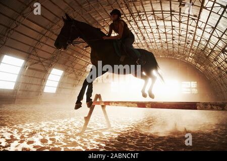 Majestätische Bild von Pferd Pferd mit Reiter auf Silhouette Sonnenuntergang Hintergrund. Das Mädchen Jockey auf dem Rücken der Hengst reitet in einem Hangar auf einem Bauernhof und Stockfoto