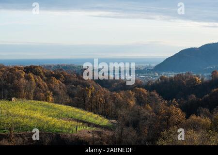 Boca Weinberge im Herbst, ländliche Region Piemont, Provinz Novara, Novembre 2019 Stockfoto