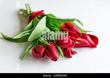 Blumenstrauß aus Tulpen mit einem roten Band auf einem weißen Hintergrund. Blick von oben. Selektive konzentrieren. Close Up. Stockfoto