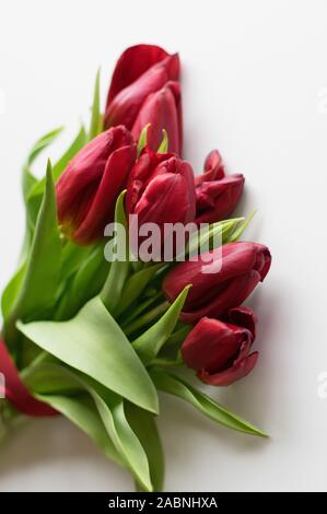 Blumenstrauß aus Tulpen mit einem roten Band auf einem weißen Hintergrund. Blick von oben. Selektive konzentrieren. Vertikale Rahmen. Stockfoto