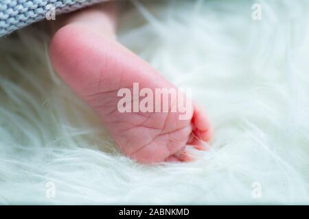 Neugeborenes Baby Füße auf weißem Hintergrund Stockfoto