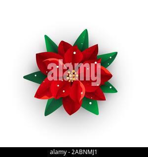 Frohe Weihnachten bouquet Weihnachtsstern mit Schnee auf die Blütenblätter auf weißem Hintergrund Stock Vektor