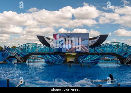 Orlando, Florida. November 22. 2019. Fantastisch Ein Ozean Show in Seaworld Stockfoto